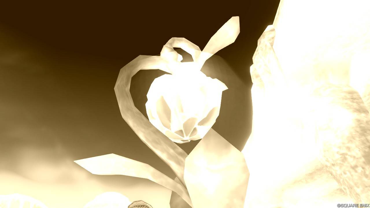 イーサ村の果物 DQX