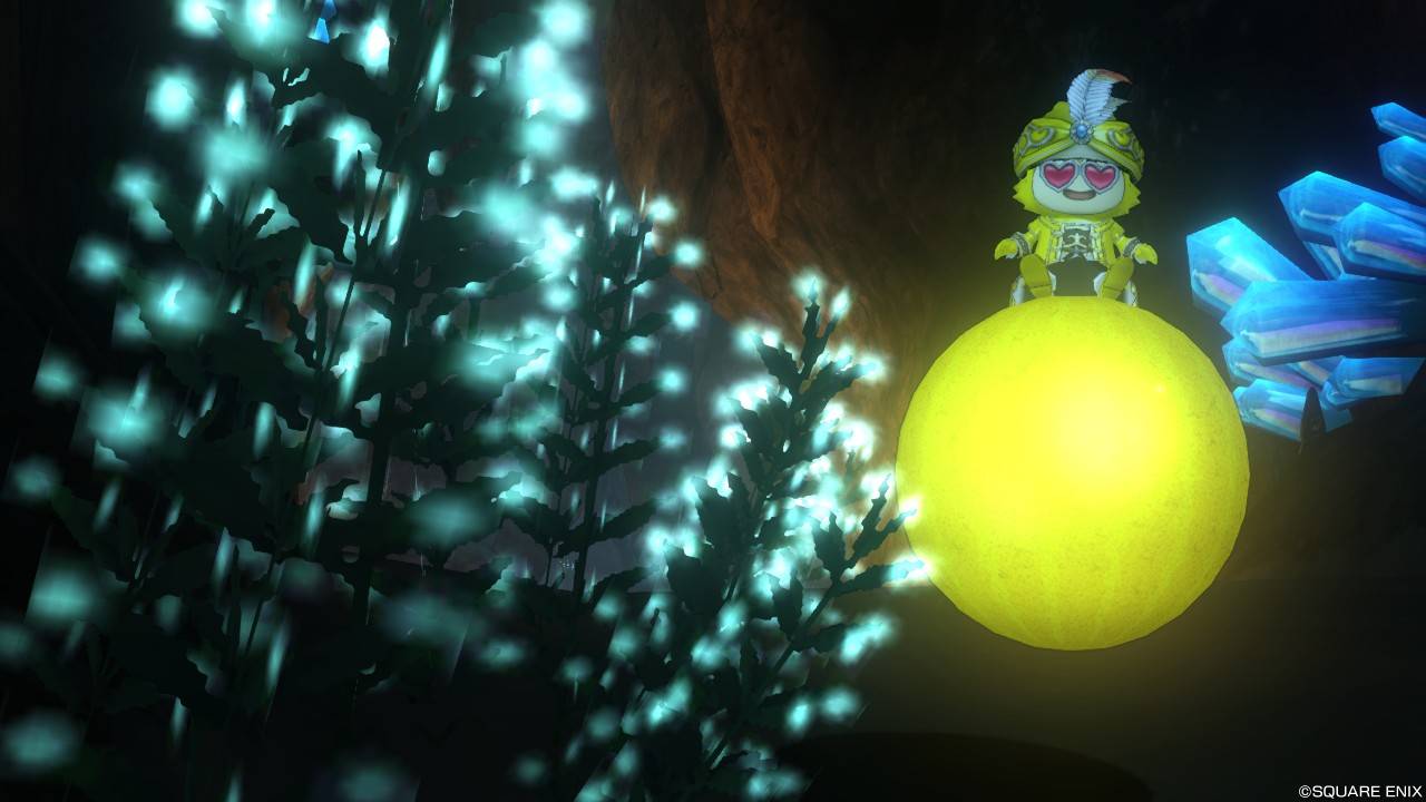 海風のどうくつ:海藻ぽい植物のあるどうくつ DQX